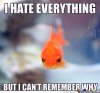 ImageUploadedByMonsterAquariaNetwork1413506462.935168.jpg