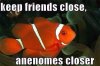 ImageUploadedByMonsterAquariaNetwork1413506530.141346.jpg