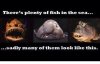 ImageUploadedByMonsterAquariaNetwork1413506722.190373.jpg