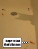 ImageUploadedByMonsterAquariaNetwork1413506747.094076.jpg