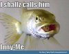 ImageUploadedByMonsterAquariaNetwork1413647157.896521.jpg