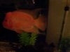 20141022_230035.jpg