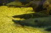 DSC02625.JPG