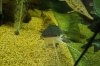 DSC02626.JPG