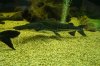 DSC02629.JPG