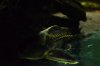 DSC_6380_zpsb5b93b19.jpg