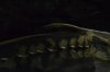 DSC_1892_zpsc001d63a.jpg