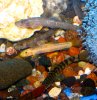 IMG_6366.JPG