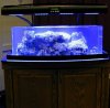 no top light full.jpg