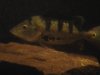 20141005_175544.jpg