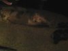20141005_175631.jpg