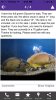 ImageUploadedByMonsterAquariaNetwork1416718169.176178.jpg