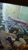 uploadfromtaptalk1416967178754.jpg