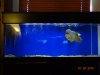 DSC00059.JPG