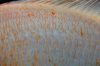 IMG_5987.jpeg