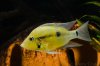 DSC_0477SC.jpg