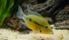 DSC_0385SC.jpg