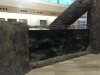 side view upper aquarium.jpg