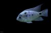 IMG_1714#2.JPG