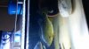 uploadfromtaptalk1419957451030.jpg