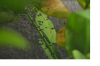 view1.png