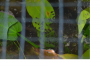 view1.png