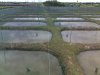 pond_straight.jpeg pond_straight.jpeg