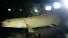 IMG_20150202_015438.jpg