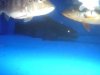 DSC00289.JPG
