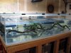 WaterChange-5.jpg