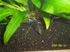 100_0027.jpg