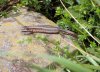DSCN2970.JPG