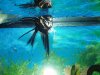 Stingray pics 042.jpg