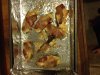 buffalo turds.JPG