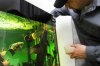 Aquarium pics (3).jpg