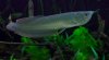 _MG_7581.jpg