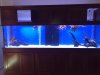 IMG_5099.JPG IMG_5099.JPG