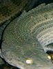 IMG_20150228_013511.jpg