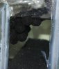 3-2 mini bio balls in sump.jpg 3-2 mini bio balls in sump.jpg