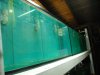 DSCN0714.JPG