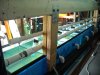 DSCN0708.JPG