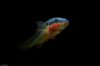 IMG_3075#2.JPG