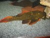 IMG_1806.JPG
