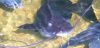 Mr Marbles 6.JPG