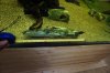 DSC03604.JPG