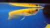 20150320_210025.jpg