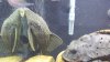 20150318_193314.jpg