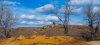 Kanopolisrocktrees.jpg