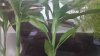 20150226_194647.jpg