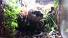 20150324_092345.jpg
